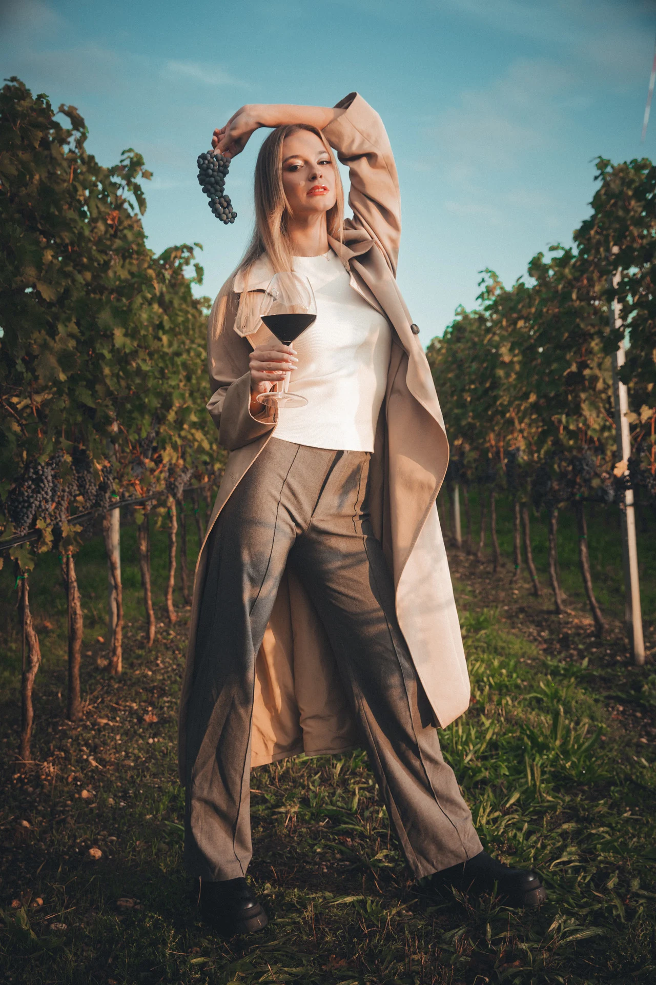 Vineyard, Andau – photograph by Florian Kozak